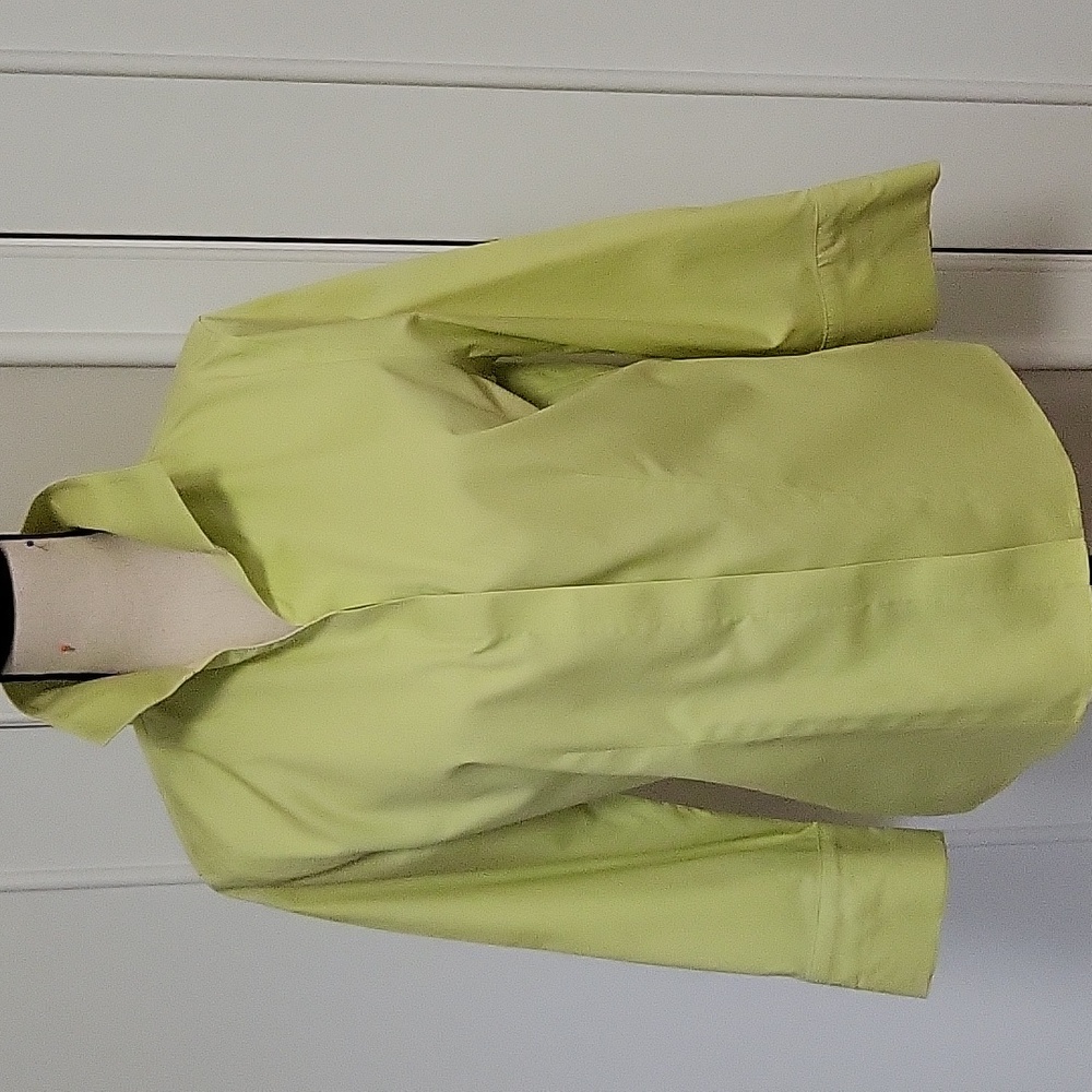 Chico's no iron blouse